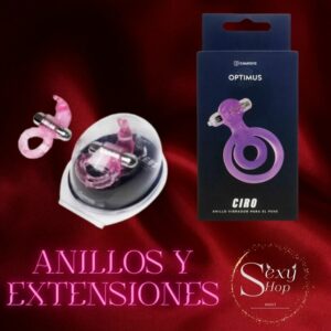 Anillos y Extensiones